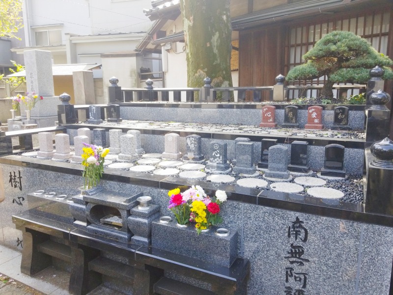 正德寺 欅の杜 樹木葬 樹心～じゅしん～の施設写真